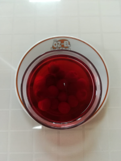Vine  Kompostosu